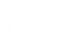 The Social Savannah